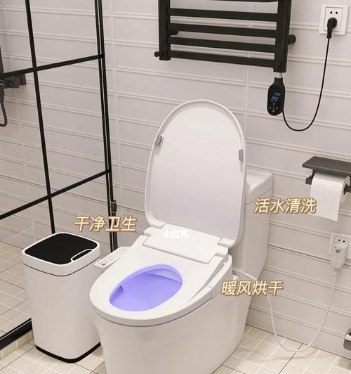 探究马桶反味的原因及解决方法（了解马桶反味现象）