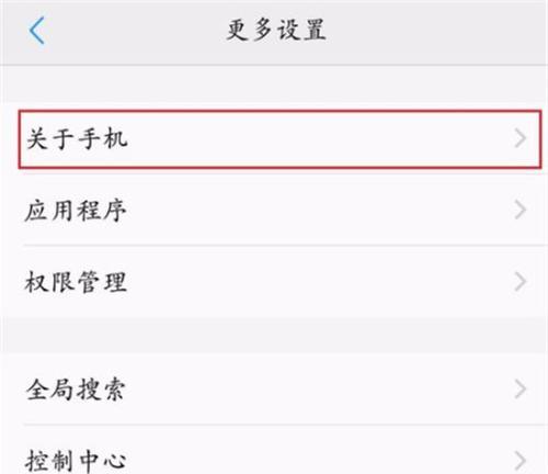 解锁vivo开发者模式的方法和注意事项（一步步教你打开vivo开发者模式）