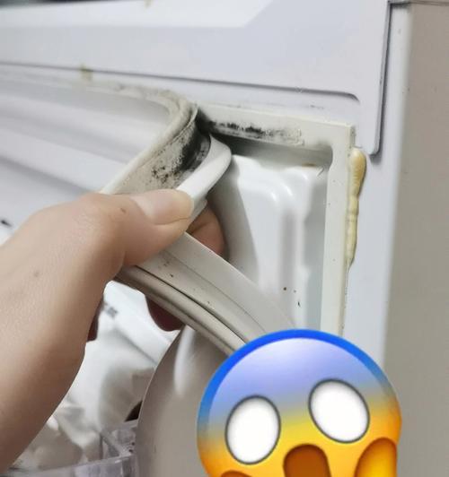 冰箱密封条发霉怎么办（预防与清洁密封条）