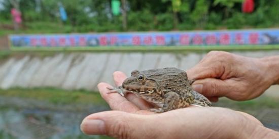 港头维修中央空调故障（解决中央空调故障的维修方法和注意事项）
