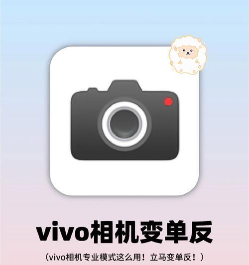 手机夜间拍照亮度不足如何调整？