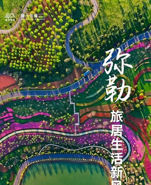 新风向手机拍照技巧有哪些？