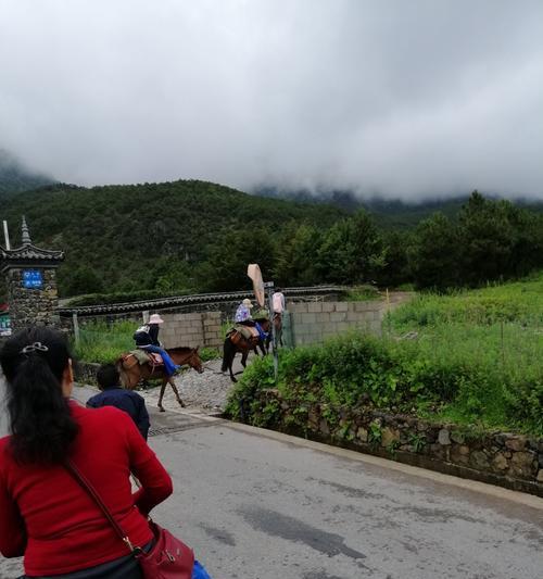 走路递手机拍照技巧是什么？如何保证照片清晰？