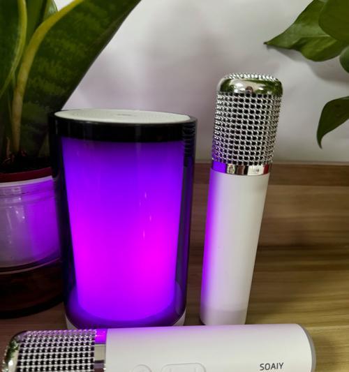语音唱歌音箱的视频使用方法是什么？